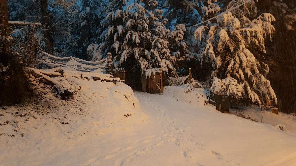Magda Villa Villa La Angostura Buitenkant foto